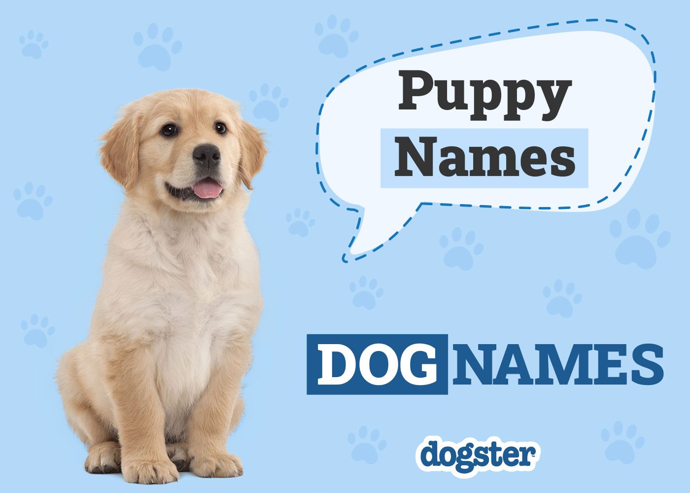 150 Puppy Names Cute And Popular Ideas Dogster 150 Puppy Names Cute And Popular Ideas Dogster
