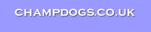 champdogs logo