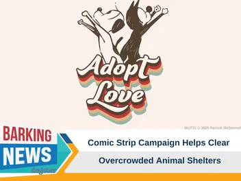 Comic Strip Campaign Helps Clear Overcrowded Animal Shelters