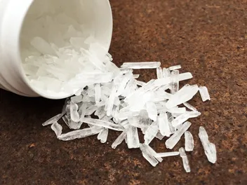 What Happens When Dogs Consume Meth? (Vet Answer)