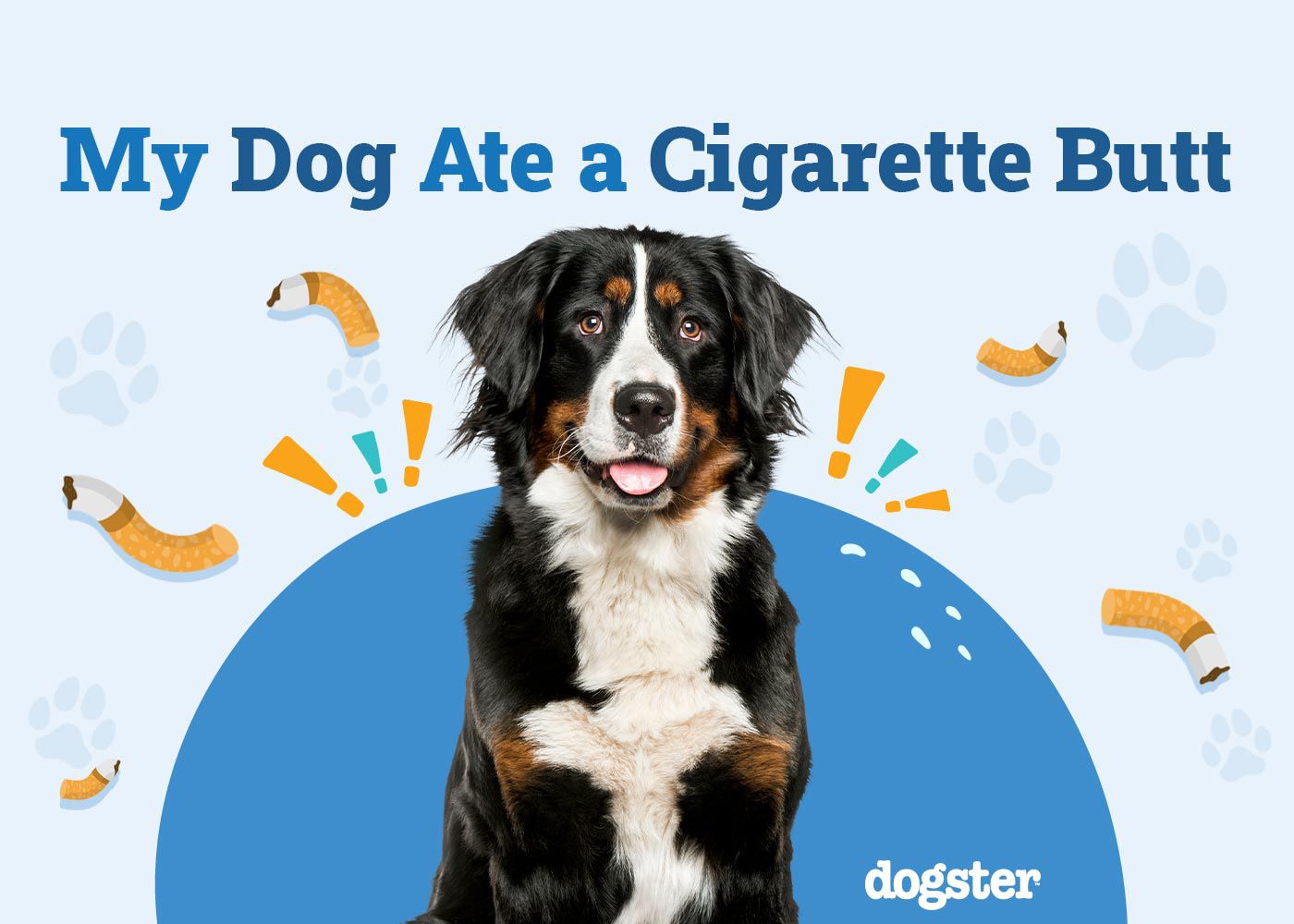 My Dog Ate a Cigarette Butt