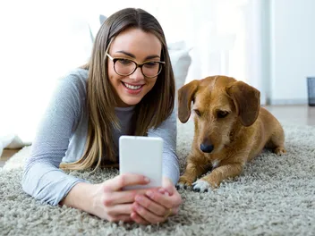 Pet Telehealth: How Does It Work? Vet-Approved Facts & FAQ