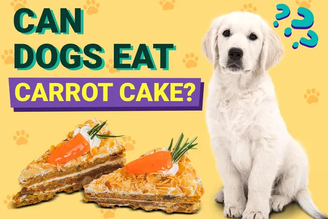 Can Dogs Eat Carrot Cake? Vet-Reviewed Facts & Safe Recipes