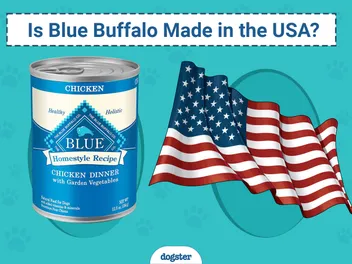 Is Blue Buffalo Made in the USA? What You Need to Know