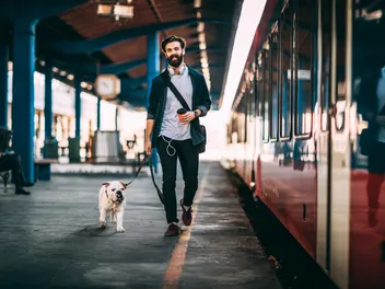 Can You Take A Dog On A Train? (2026 Guide)