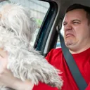 What’s That Smell??? How To Tell the Difference Between Normal Stinky Dog Breath and A Warning Sign  