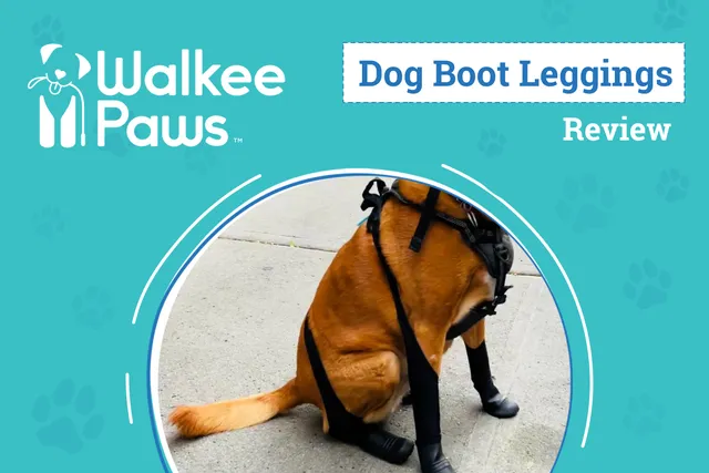 Walkee Paws Dog Boot Leggings Review 2026: An Expert's Breakdown