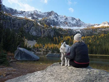 16 Dog-Friendly Hiking Trails in Washington (2026 Guide)