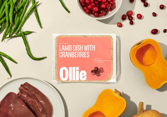Ollie Lamb Dish With Cranberries