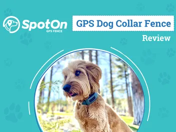 SpotOn Fence Review 2026: An Expert’s Breakdown