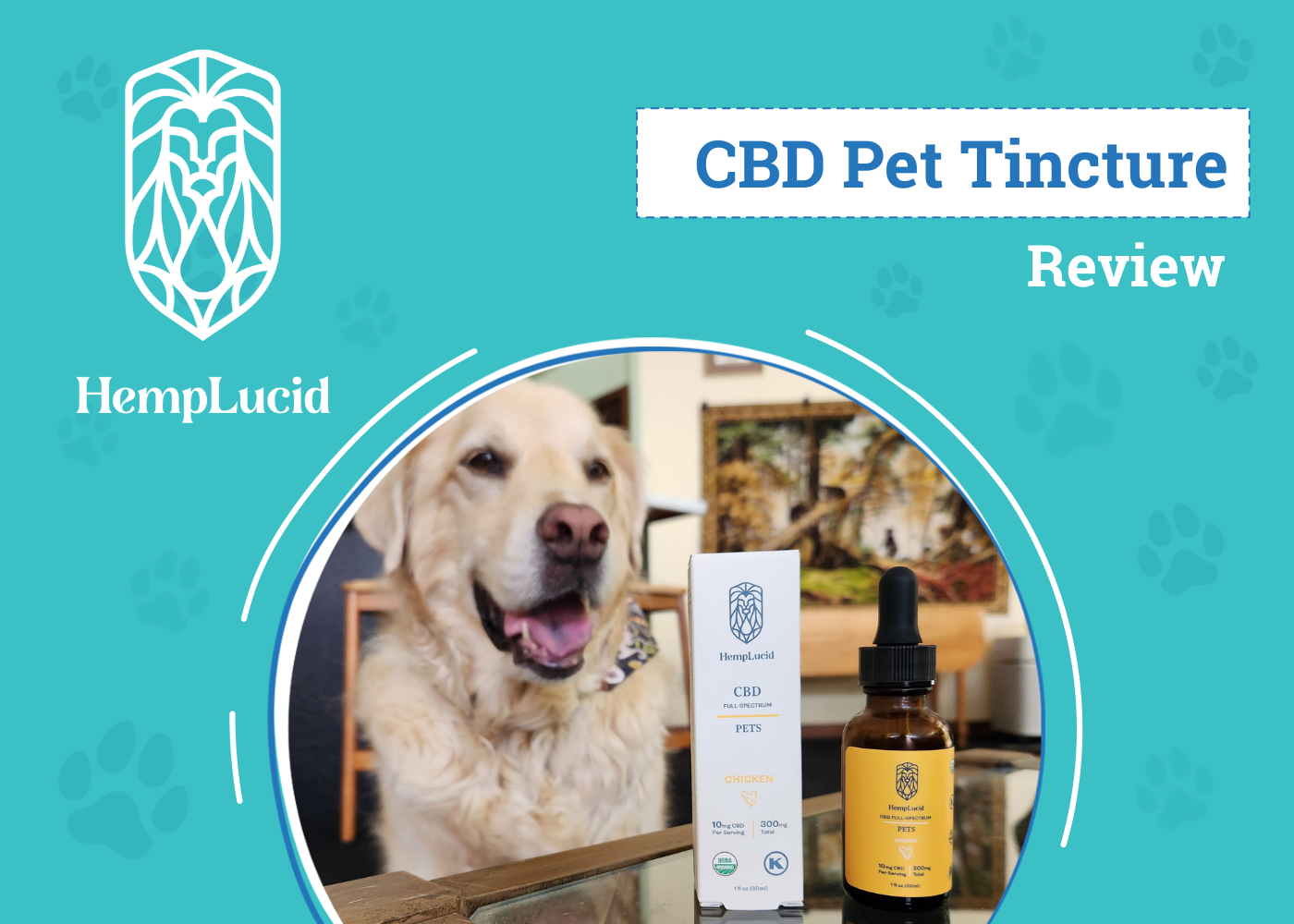 HempLucid CBD Pet Tincture