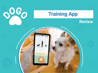 Dogo App Review 2026: An Expert's Breakdown
