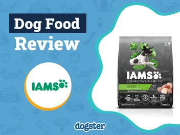 Iams Dog Food Review 2026: Pros, Cons, Recalls & FAQ