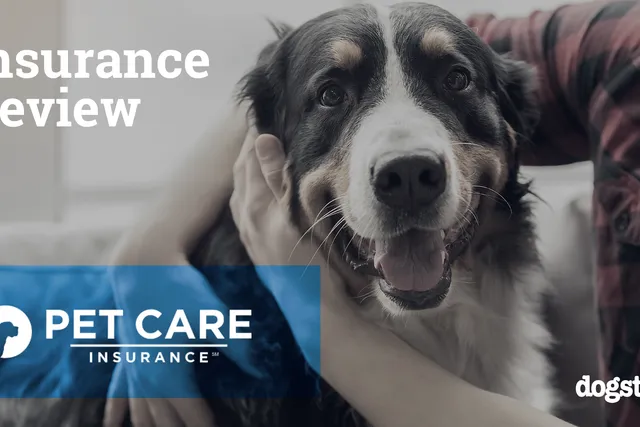 Pet Care Insurance Review 2026: Pros, Cons & Verdict