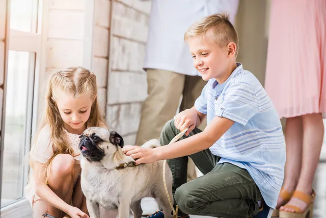 Are Pugs Good With Kids? Vet-Verified Facts & Care Tips
