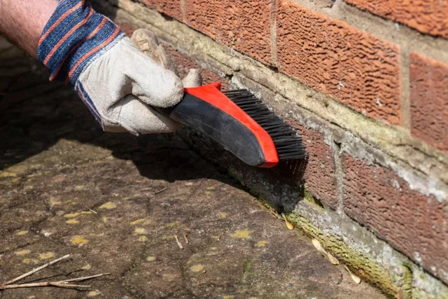 How to Get Dog Pee Smell Out of Brick: 3 Easy Steps
