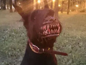 Why You Shouldn't Buy a Zombie Dog Muzzle: Important Considerations
