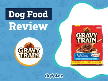 Gravy Train Dog Food Review 2026: Recalls, Pros & Cons