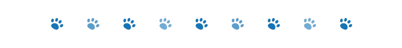 divider dog paws 2 oct 2024