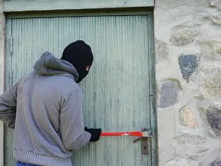 Do Dogs Prevent Break-Ins? Facts & FAQ