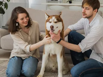 Do Dogs Like Massages? Vet Approved Facts & Tips