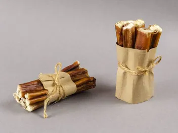 What Are Bully Sticks Made From? Vet-Reviewed Benefits & Risks