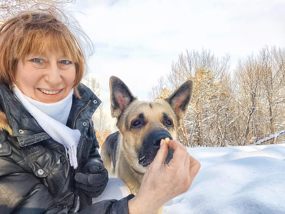 woman with shepherd dog taking selfies in winter while giving a treat