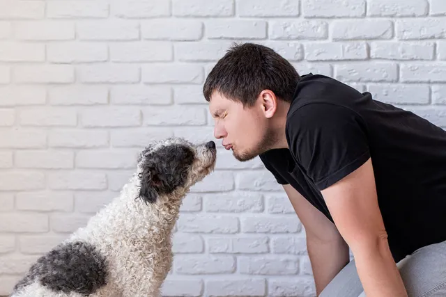 Can Pancreatitis Cause Bad Breath in Dogs? Health & Care Facts (Vet Answer)