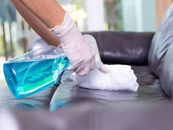 How to Get Pet Pee Smell Out of a Leather Couch: 5 Possible Ways