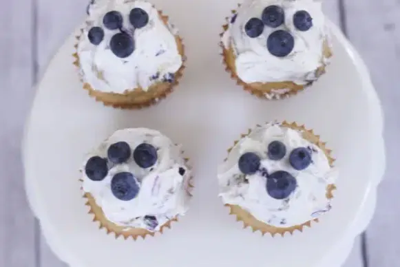 Blueberry Dog Cupcakes