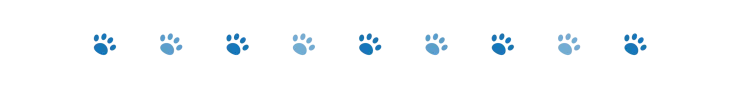 divider dog paws 2 oct 2024