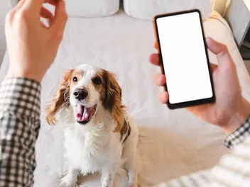 10 Best Dog Training Apps in 2026 - Reviews & Top Picks
