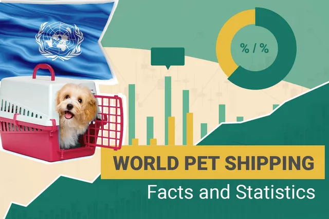 How Safe Is Shipping Your Pet by Air? 2026 Facts & Statistics