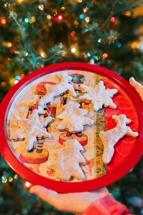 Cranberry Applesauce Dog Treats from Sparkles & Sunshine