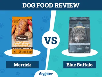 Merrick Dog Food vs Blue Buffalo 2026 Comparison: Pros & Cons