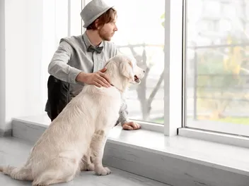 How to Protect Dogs from Wildfire Smoke: 5 Vet-Approved Tips