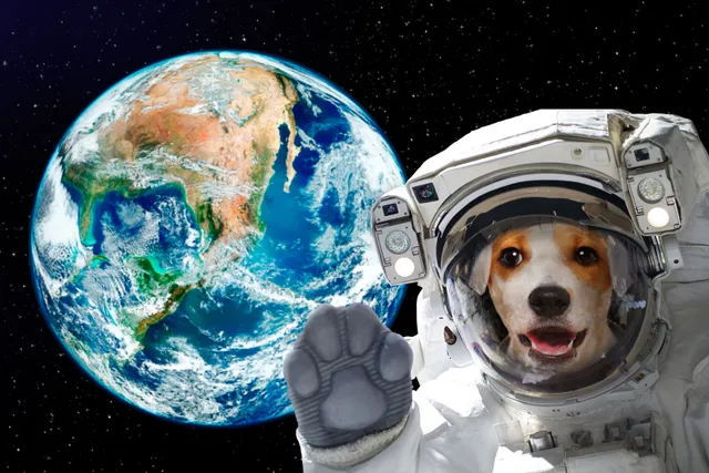 Soviet Space Dogs: The Story of the First Dogs in Space