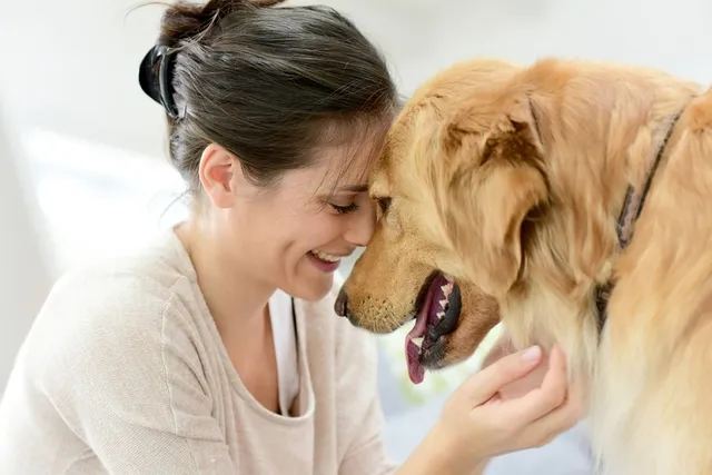 Top 20 Friendliest Dog Breeds (With Info & Pictures)