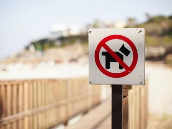 Is Redondo Beach Dog-Friendly? 2026 Guide, Safety Tips & FAQ