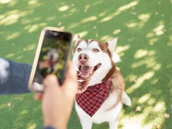 What and When Is National Dog Photography Day 2026? Here's How You Celebrate