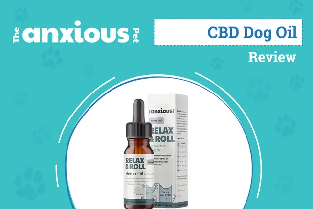The Anxious Pet Full Spectrum Hemp Oil for Dogs Review 2026: Our Expert’s Opinion