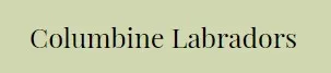 Columbine Labradors