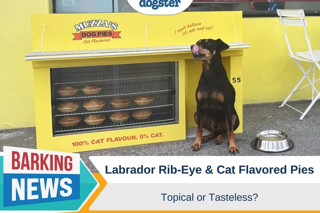 Labrador Rib-Eye and Cat Flavored Pies – Topical or Tasteless?