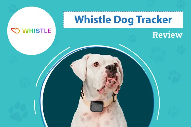Whistle Dog Tracker Reviews 2026 - Pros, Cons & Verdict