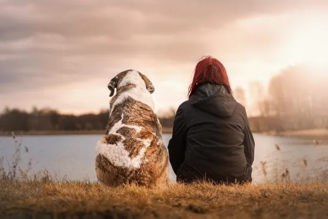 How to Train an Emotional Support Dog: Our Vet Explains