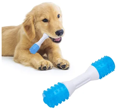 EETOYS Puppy Teething Chew Toys