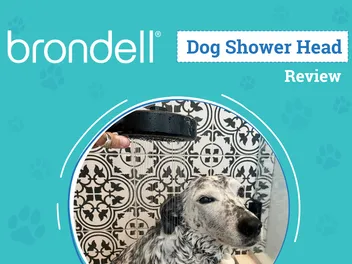 Brondell Nebia Merced Handheld Showerhead Review 2026: Our Expert’s Opinion