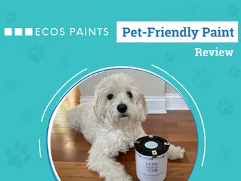 ECOS Pet-Friendly Paint Review 2026: An Expert's Breakdown