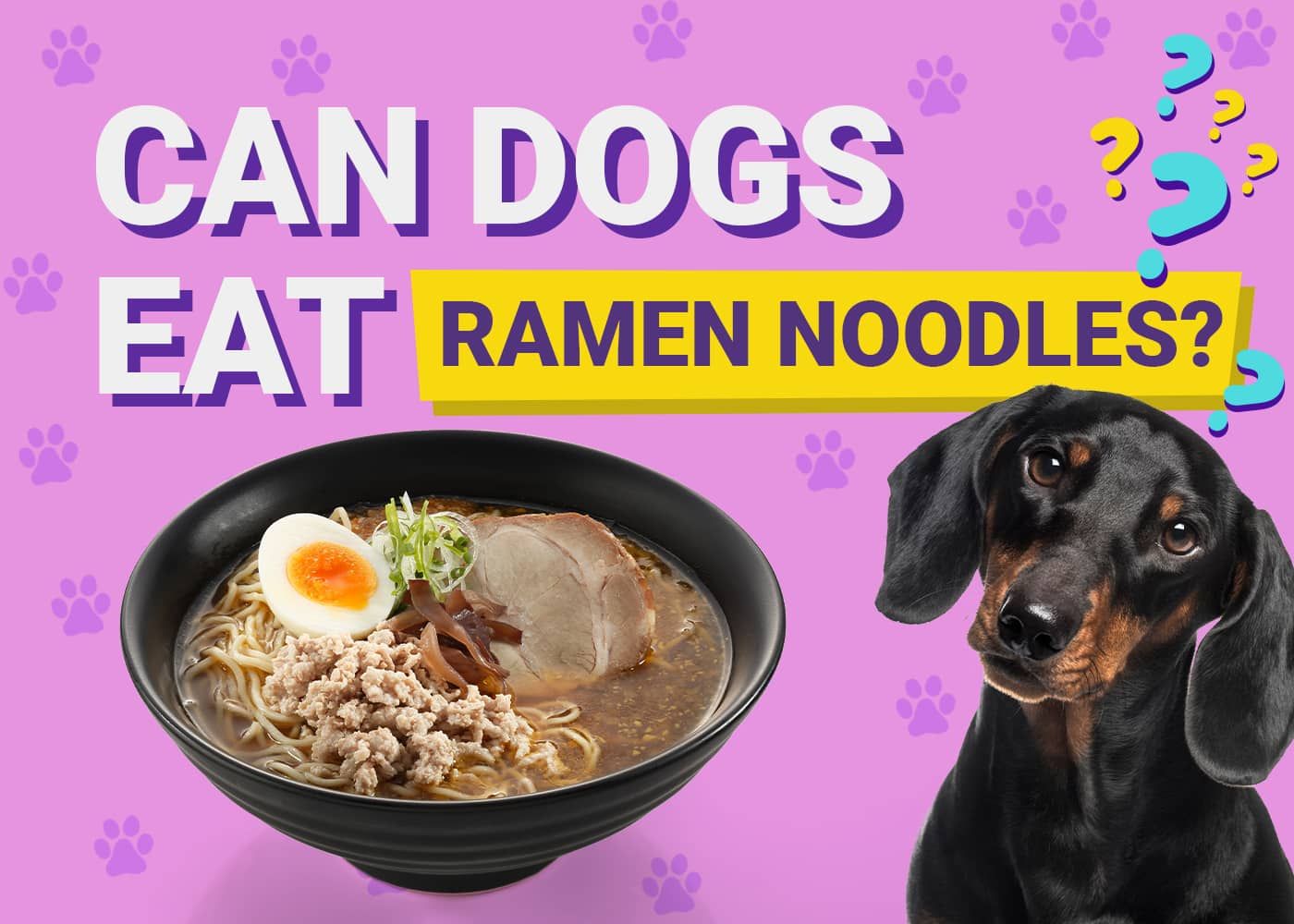 Can Dogs Eat Ramen Noodles