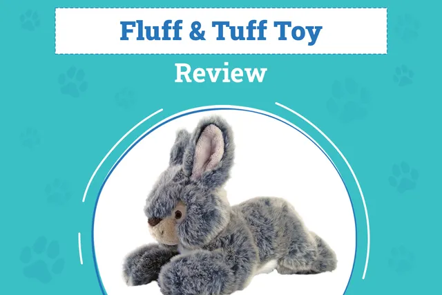 Fluff & Tuff Toy Review 2026: Pros, Cons & Verdict